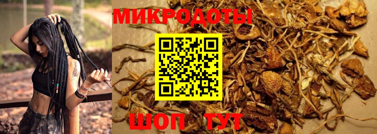 Псилоцибиновые грибы Psilocybine cubensis  Вход с VPN  Ахтубинск  Псилоцибиновые грибы GOLDEN TEACHER 